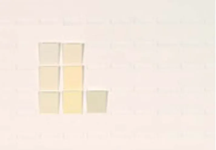 Fig. E.26. Colour samples constituting the range for honey yellow