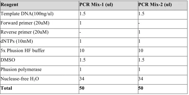 Table 2.8.  PCR mixes for site-directed mutagenesis of miR-564 target sequences.  