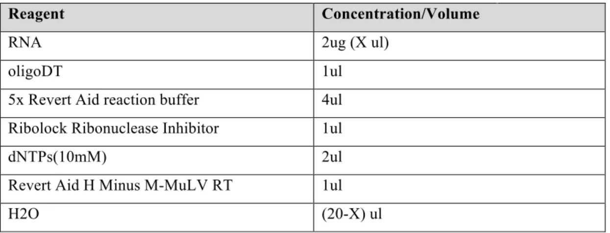 Table 2.10. Components of reverse transcription reaction.  