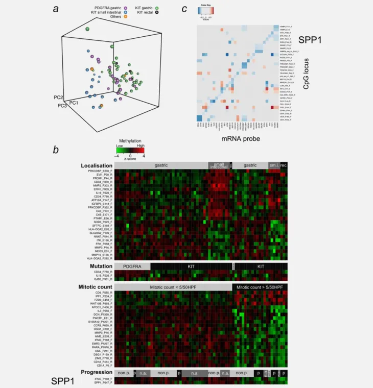 Figure 1. Targeted DNA methylation analysis identified SPP1 as a novel prognostic factor