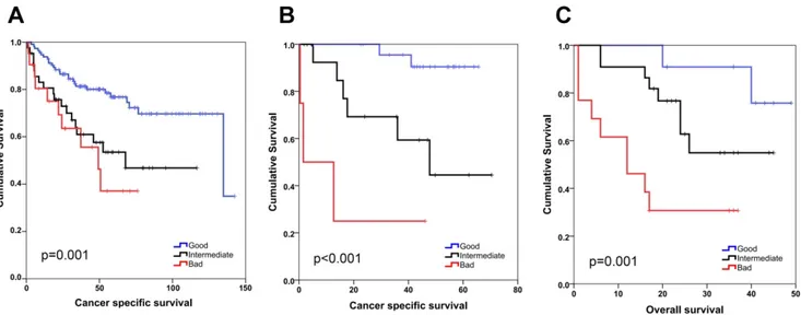 Figure 1. SEMA5A/ULBP2 (SU) gene signature for colon cancer prognostication. Kaplan-Meier graphs based on the SU signature for GSE17536 (A),  GSE17537 (B) and the Ankara cohort (C), and their respective log-rank p values are shown
