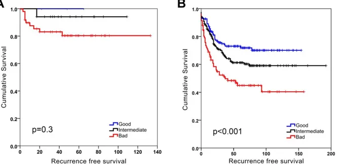 Figure 2.  SU-GIB can predict recurrence-free survival especially for microsatellite stable patients in GSE39582