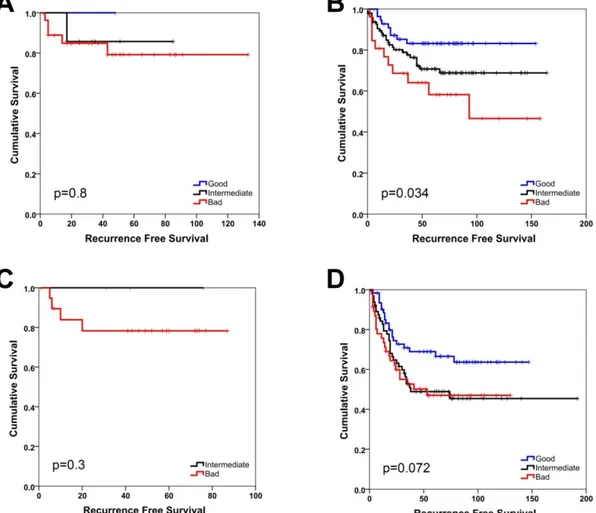 Figure 3: SU-GIB can predict recurrence-free survival for micosatellite stable patients with stage 2 or 3 disease in GSE39582