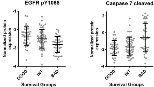 Figure 4. TCGA based proteome analysis of colon cancer tumor tissue reveals increased EGFR phosphorylation and decreased Caspase 7  cleavage in the good prognosis group