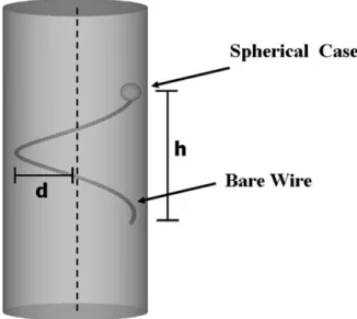 FIG. 1. A bare wire with a helical geometry attached to a spheri- spheri-cal implant case is placed inside a uniform phantom model