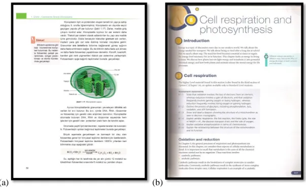 Figure 7. Sample pages from the two textbooks (a) the MEB textbook; (b) the IBDP  textbook 