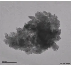 Fig. 2. TEM image of our prepared solgel.   