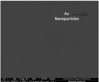 Fig. 5 shows EQE of the reference cells and nanoparti- nanoparti-cles coated cells. 1 cm  1 cm cells were used to perform EQE measurements
