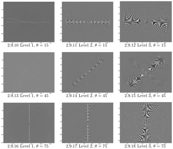 Figure 2.9: Complex Wavelet Transform of the fireworks pattern, for 3 scales and θ = ±15 ◦ , ±45 ◦ , ±75 ◦