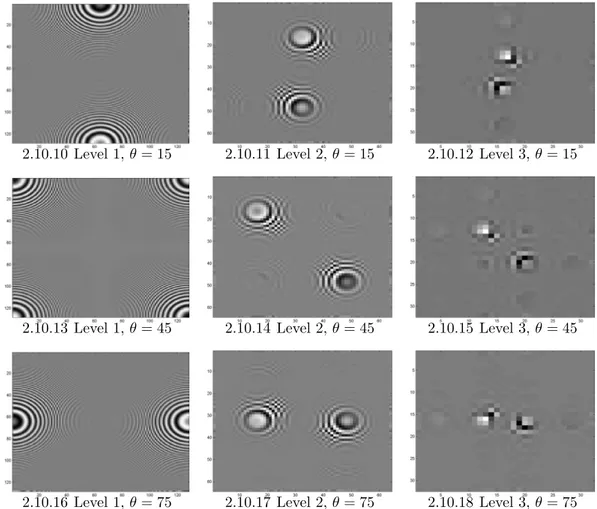 Figure 2.10: Complex Wavelet Transform of the zoneplate pattern, for 3 scales and θ = ±15 ◦ , ±45 ◦ , ±75 ◦