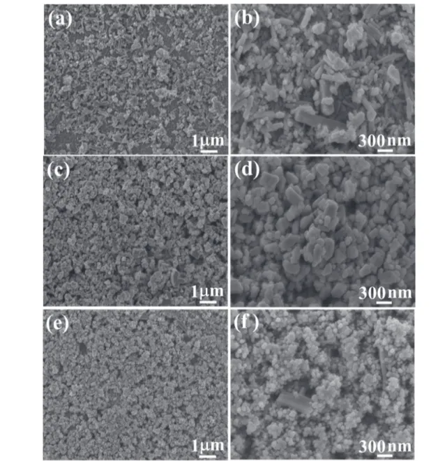 Fig. 3. (a) and (b) SEM images of the product grown without seed layer under different magniﬁcations