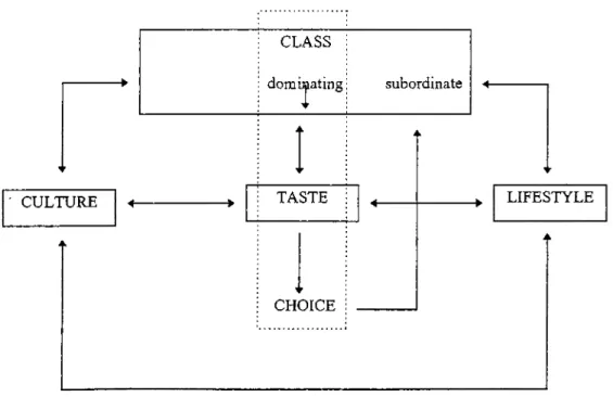 Figure 3.2 A firamework for the formation of taste