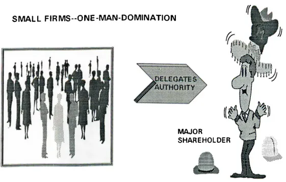 Figure  6.  The  Board  Practices  within  the  Small  Firms.