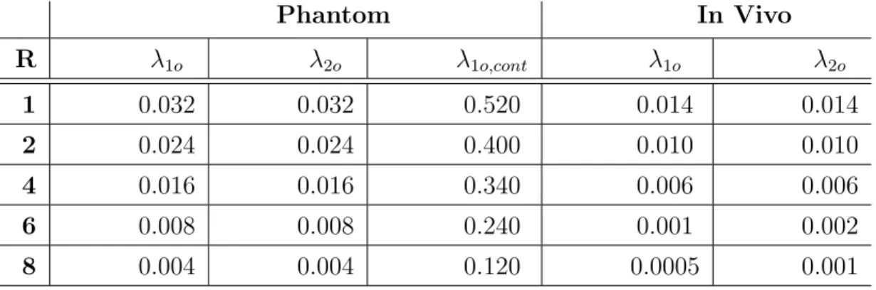 Table 2.1: Reconstruction Parameters Phantom In Vivo R λ 1o λ 2o λ 1o,cont λ 1o λ 2o 1 0.032 0.032 0.520 0.014 0.014 2 0.024 0.024 0.400 0.010 0.010 4 0.016 0.016 0.340 0.006 0.006 6 0.008 0.008 0.240 0.001 0.002 8 0.004 0.004 0.120 0.0005 0.001