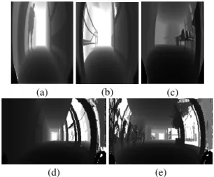 Figure 2: Sample 3-D scans from (a)–(c): the first and (d)–