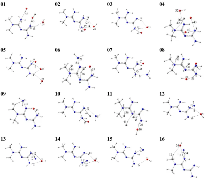Figure 2. Met…Chit bimolecular complexes; the Met structure and the interacting atoms of Chit are shown  to ease