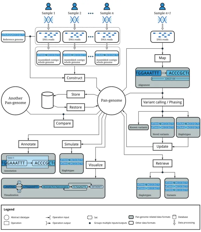 Figure 2. Illustration of operations to be supported by a pan-genome data structure.
