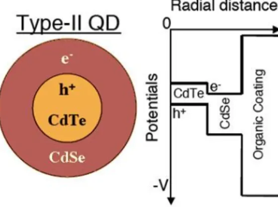 Figure 2.2: Schematic and potential diagram of a Type-II nanocrystal (CdTe / CdSe) after [28].