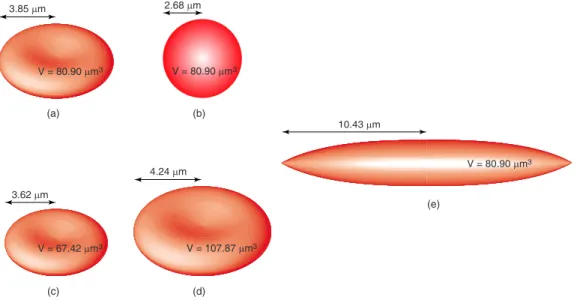 Fig. 1 Healthy and deformed RBCs: 共a兲 a healthy 共ordinary兲 RBC with a biconcave shape; 共b兲 a spherocyte having exactly the same volume as the ordinary RBC; 共c兲 a microcyte, which is smaller than an ordinary RBC, with a biconcave shape; 共d兲 a macrocyte, whi