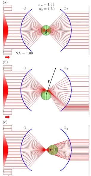 Fig. 1. Schematic of an optical tweezers setup (not to scale). A Gaussian laser beam, whose intensity is shown on the left, is divided into a set of optical rays (lines)