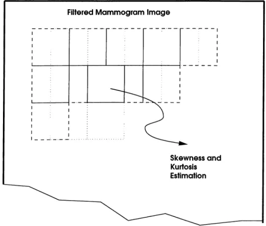 Figure  2.10:  Skewness  and  Kurtosis  are  estimated  in  overlapping  square  regions.