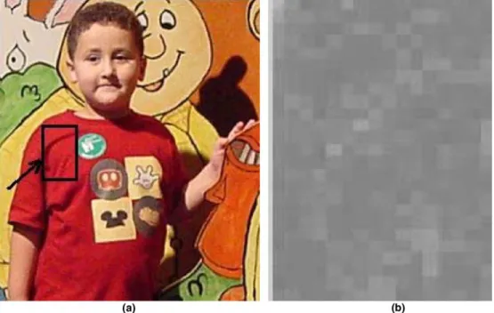 Fig. 5. (a) A child with a ﬁre-colored t-shirt, and (b) the absolute sum of spatial wavelet transform coeﬃcients, jx lh [k, l]j + jx hl [k, l]j + jx hh [k, l]j, of the region bounded by the indicated rectangle.