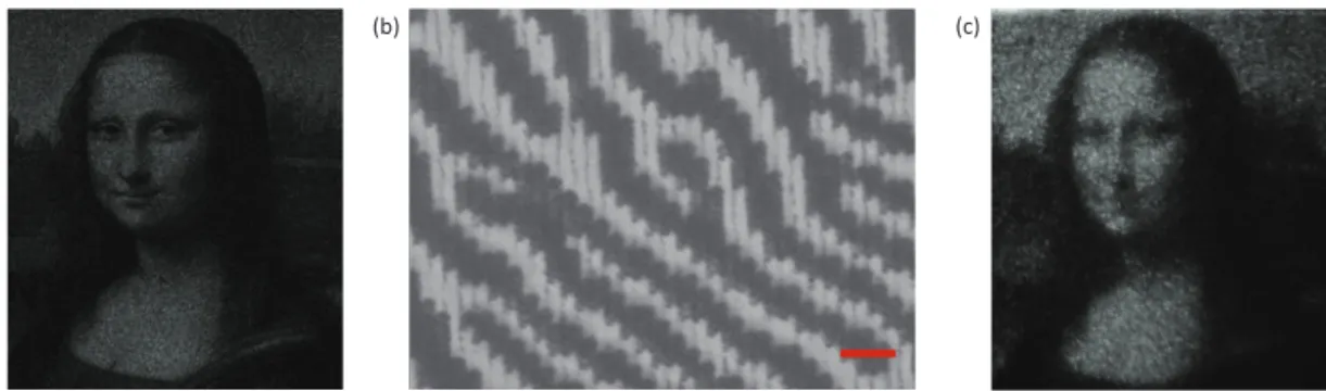Fig. 1 (a) Simulated holographic image of Mona Lisa. (b) Infrared transmission microscope image of the laser-written phase-type CGH