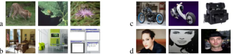 Fig. 1. Example Web images collected for query keywords (a) spotted, (b) office, (c) motorbikes, (d) Angelina Jolie