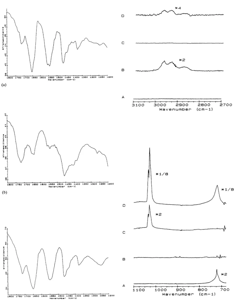 Fig.  3.  FT-IR  spectra  of  (a)  mechanical  mixture,  (b)  film  and  (c)  pure  PA