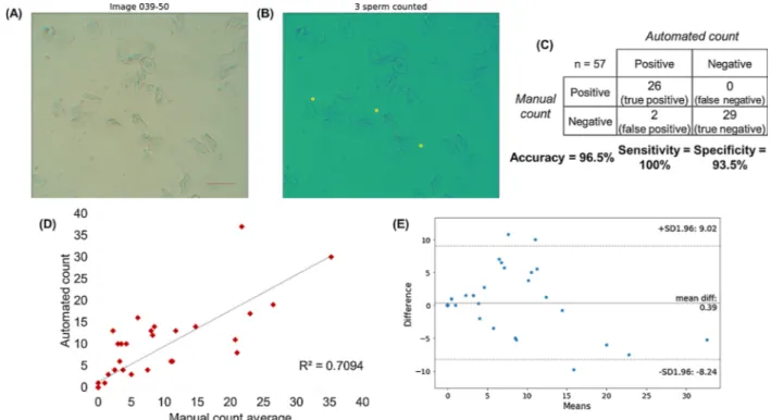 Fig. 3. Images of sperm cells mixed with cheek epithelial cells (from a buccal swab) on cellphone imaging prototype