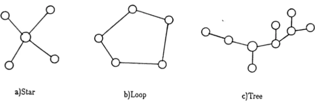 Figure  1.2:  Some  possible point-to-point  topological  configurations
