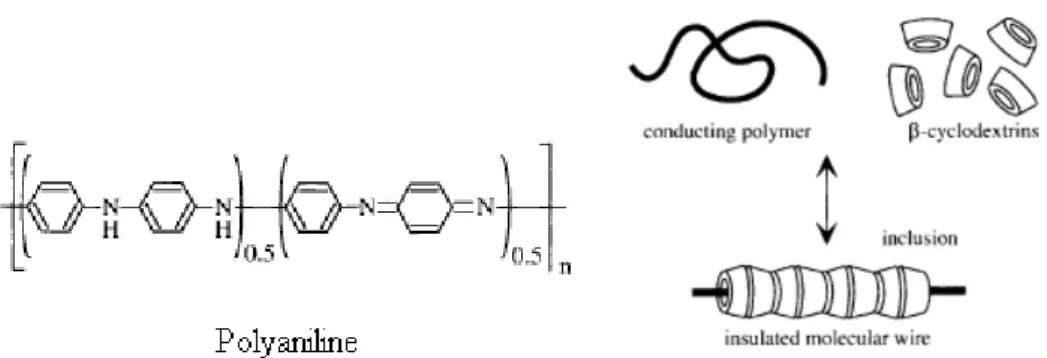 Fig. 1.11- Representation of polyaniline and prepared insulated molecular wire 21