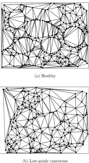 Figure 3.5: Delaunay triangulation constructed on only the purple nodes