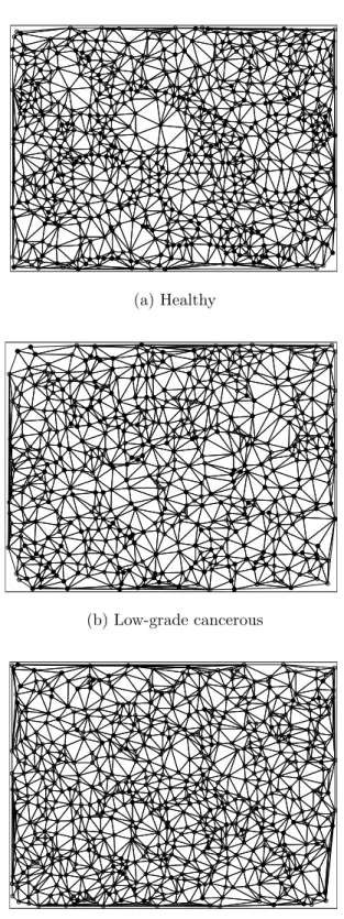 Figure 3.6: Delaunay triangulation constructed on both the white and purple nodes