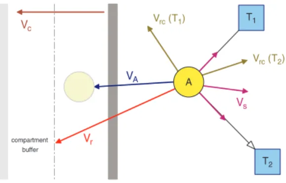 Fig. 2. An example showing various types of forces on a state A (V s , V r , and V rc : spring, repulsion, and relativity constraint forces, respectively) and a compartment separator