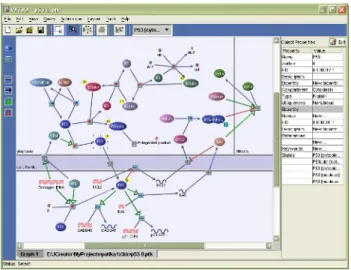 Fig. 4. An example layout for the p53 pathway.