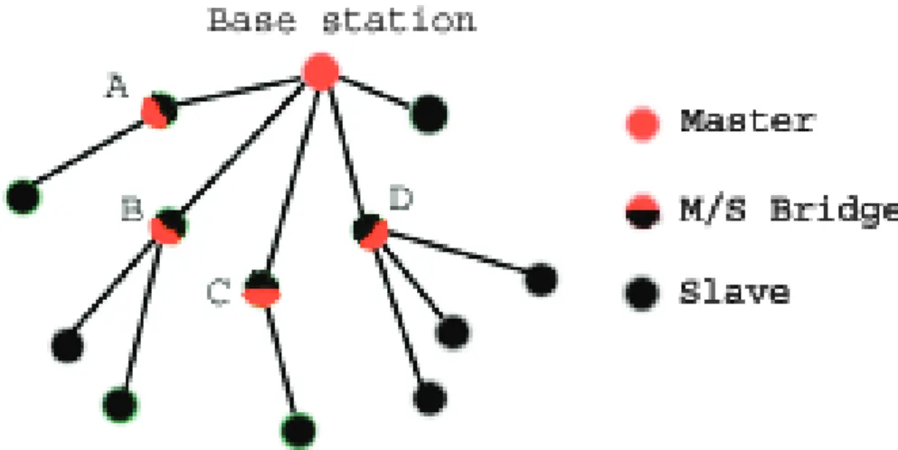 Figure 4.4: A scatternet after role assignment.