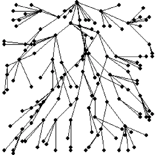 Figure 5.2: Shortest Path Tree formed from randomly deployed nodes.