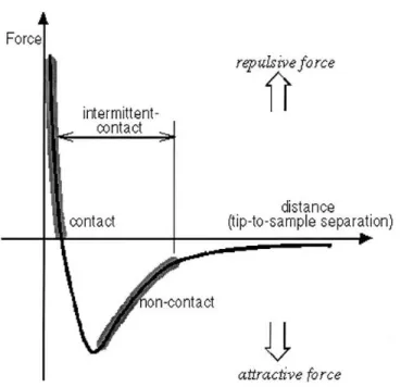 Figure 1.3: Interatomic forces vs the separation between the tip and the surface.