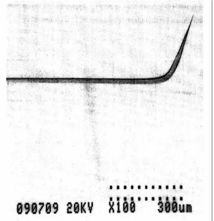 Figure 2.7: The electrochemically etched AFM tip.