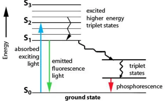 Figure 1.4 Simplified Jablonski Diagram. 