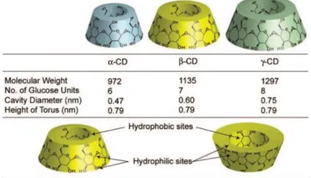 Figure  1.10  cyclodextrines,  structures  and  physical  properties.  Reprinted  (adapted)  with  permission  from  Ref  [55]