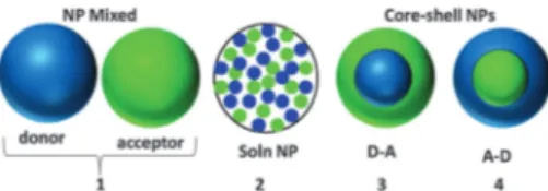 Fig. 2 Illustration of the four bi-polymer NP designs.