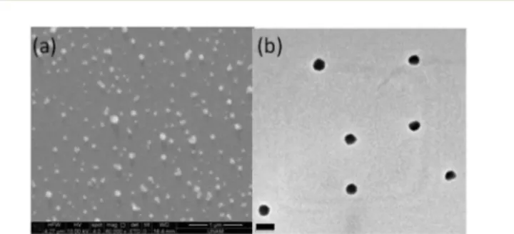 Fig. 10 Size and morphology of DAR 4% NPs B101 nm: (a) SEM micro- micro-graph (scale 1 mm) and (b) TEM micromicro-graph (scale 0.2 mm).