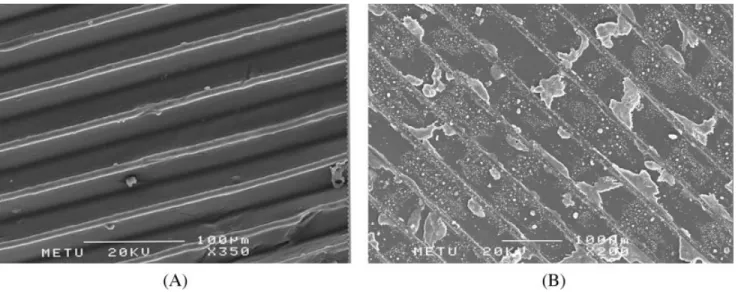 Figure 2. Effect of degradation on surface patterns of collagen ﬁlms. SEM micrographs of (A) crosslinked patterned colla- colla-gen ﬁlm before degradation and (B) crosslinked patterned collacolla-gen ﬁlm after 1-month incubation in 0.1M PBS (pH 7.4) at 378