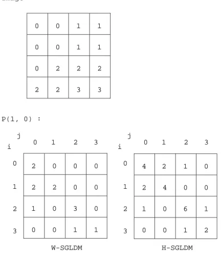 Figure 2.1: Computation of W-SGLDM and H-SGLDM for P(1, 0)