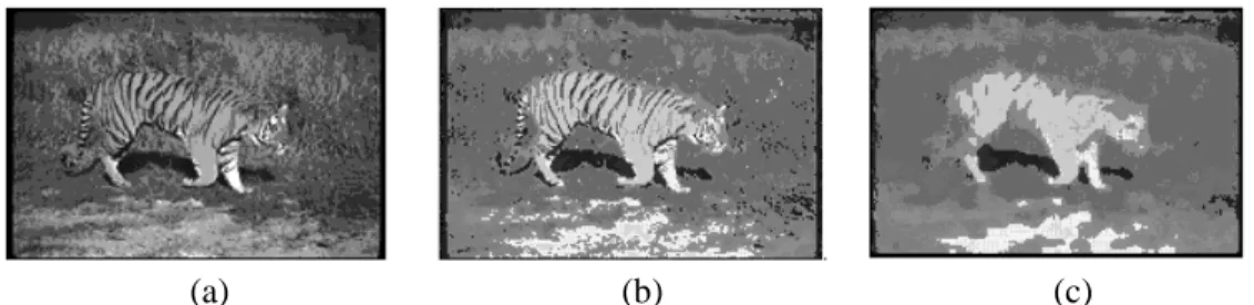 Figure 2.2: Transformation, Quantization and Color Median Filtering of tiger Image. (a) Original image