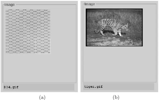 Figure 3.3: Feature Extraction Alternatives, (a) Fully Automatic Extraction, and (b) Semi-Automatic Extraction.