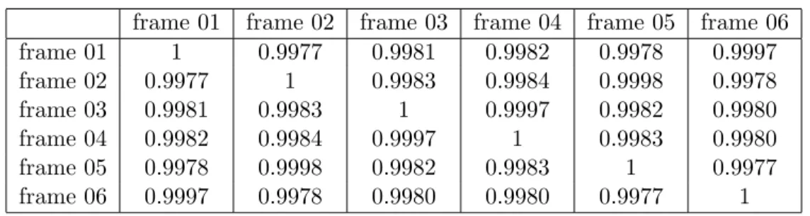Table 3.1: Similarity Table for the Frame Sequence of Cat.avi.