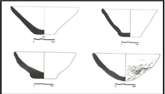 Figure 2. Regional diversities of Coba bowls with four main types (Baldi, 2012a: 